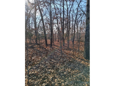 Looking for some peace and quiet, but don't want to live way out - photo 5