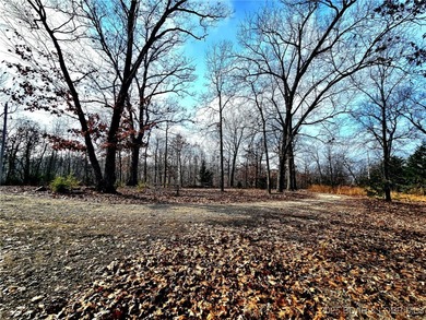 Lake Lot For Sale in Rocky Mount, Missouri