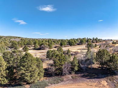 SELLER FINANCE @ 5.5% - Rare multi-parcel opportunity located on - photo 22
