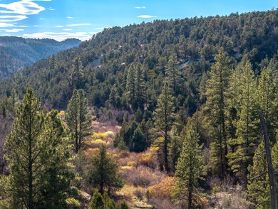 SELLER FINANCE @ 5.5% - Rare multi-parcel opportunity located on - photo 25