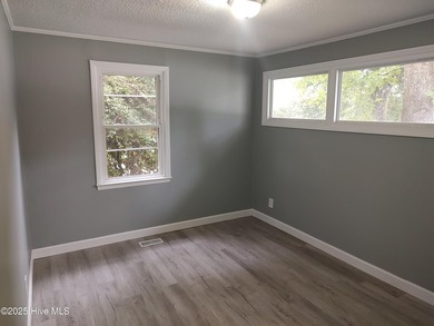 Recently renovated 3 bedroom home. New kitchen, bath, and Roof! - photo 8