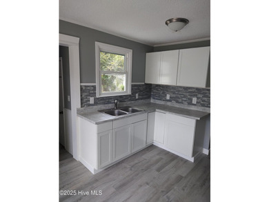 Recently renovated 3 bedroom home. New kitchen, bath, and Roof! - photo 10