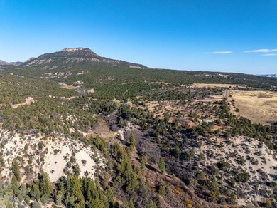 SELLER FINANCE @ 5.5% - Rare multi-parcel opportunity located on - photo 36