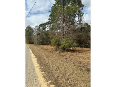 Lake Lot For Sale in Lumberton, Mississippi