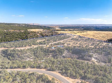 SELLER FINANCE @ 5.5% - Rare multi-parcel opportunity located on - photo 43