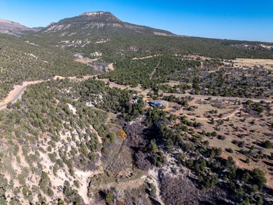 SELLER FINANCE @ 5.5% - Rare multi-parcel opportunity located on - photo 55