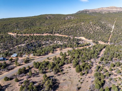 SELLER FINANCE @ 5.5% - Rare multi-parcel opportunity located on - photo 59