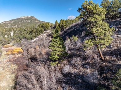 SELLER FINANCE @ 5.5% - Rare multi-parcel opportunity located on - photo 30