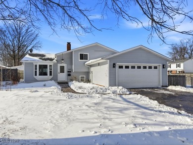 Lake Erie - Lake County Home For Sale in Eastlake Ohio