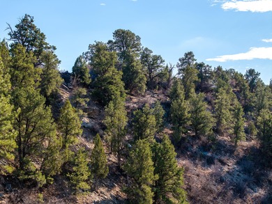 SELLER FINANCE @ 5.5% - Rare multi-parcel opportunity located on - photo 32