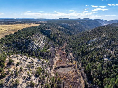 SELLER FINANCE @ 5.5% - Rare multi-parcel opportunity located on - photo 34