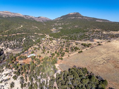 SELLER FINANCE @ 5.5% - Rare multi-parcel opportunity located on - photo 35