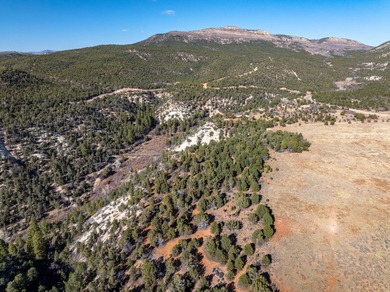 SELLER FINANCE @ 5.5% - Rare multi-parcel opportunity located on - photo 36