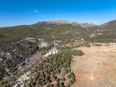 SELLER FINANCE @ 5.5% - Rare multi-parcel opportunity located on - photo 37