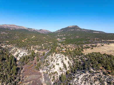 SELLER FINANCE @ 5.5% - Rare multi-parcel opportunity located on - photo 39