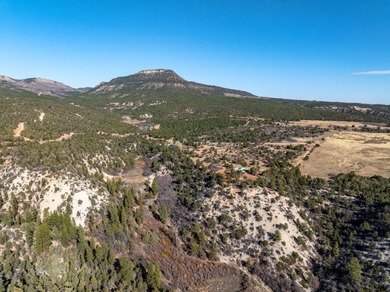 SELLER FINANCE @ 5.5% - Rare multi-parcel opportunity located on - photo 40