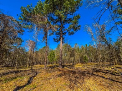 (private lake, pond, creek) Acreage For Sale in Jacksonville Texas