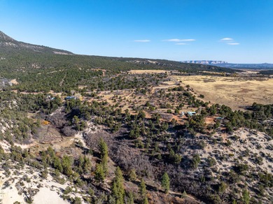 SELLER FINANCE @ 5.5% - Rare multi-parcel opportunity located on - photo 42