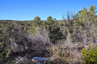 SELLER FINANCE @ 5.5% - Rare multi-parcel opportunity located on - photo 44