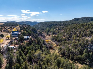 SELLER FINANCE @ 5.5% - Rare multi-parcel opportunity located on - photo 45