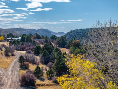 SELLER FINANCE @ 5.5% - Rare multi-parcel opportunity located on - photo 48