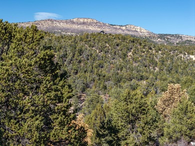 SELLER FINANCE @ 5.5% - Rare multi-parcel opportunity located on - photo 49