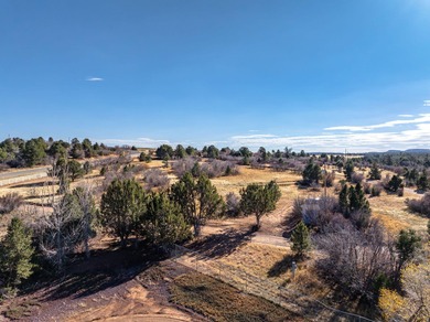 SELLER FINANCE @ 5.5% - Rare multi-parcel opportunity located on - photo 50