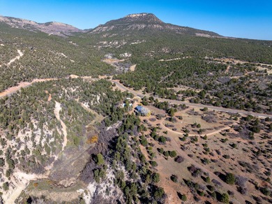 SELLER FINANCE @ 5.5% - Rare multi-parcel opportunity located on - photo 54