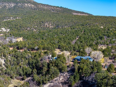 SELLER FINANCE @ 5.5% - Rare multi-parcel opportunity located on - photo 56