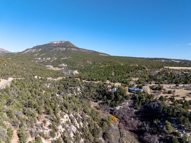 SELLER FINANCE @ 5.5% - Rare multi-parcel opportunity located on - photo 57