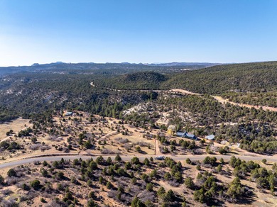 SELLER FINANCE @ 5.5% - Rare multi-parcel opportunity located on - photo 60