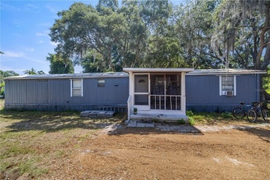 Lake Home For Sale in Ocklawaha, Florida