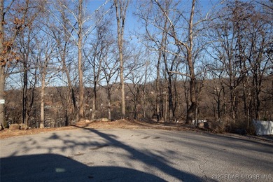 A great lot with a lake view on a cul-de-sac and all of the - photo 2