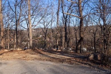 A great lot with a lake view on a cul-de-sac and all of the - photo 8
