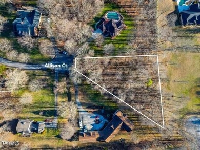 Boone Lake Lot For Sale in Piney Flats Tennessee