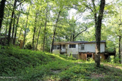 Big Snow Lake Home For Sale in Ashland Mississippi