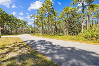 Tucked inside the private, gated community of RiverCamps, this - photo 22