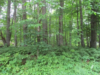  Lot For Sale in Birchwood Wisconsin