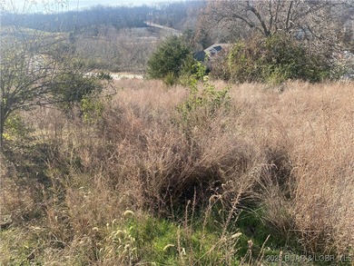 Lake of the Ozarks Acreage For Sale in Lake Ozark Missouri