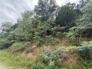 (private lake, pond, creek) Acreage For Sale in Mansfield Arkansas