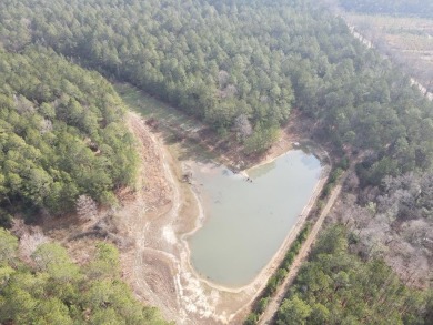 Lake Acreage For Sale in Poplarville, Mississippi