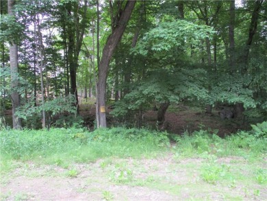  Lot For Sale in Birchwood Wisconsin