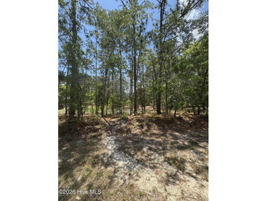 Great opportunity for builders, investors, or buyers looking to - photo 3