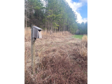 Beautiful land for sale in Poplarville, Ms. 30 acres mostly - photo 3
