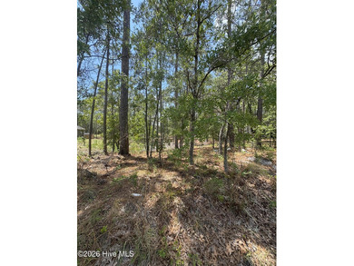 Great opportunity for builders, investors, or buyers looking to - photo 4