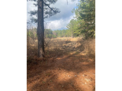 Beautiful land for sale in Poplarville, Ms. 30 acres mostly - photo 6