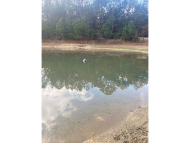 Beautiful land for sale in Poplarville, Ms. 30 acres mostly - photo 8