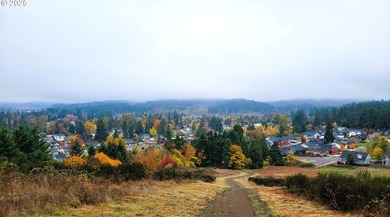 Prime 66.82-Acre Development property with Panoramic Valley - photo 1