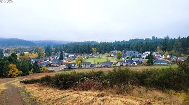 Prime 66.82-Acre Development property with Panoramic Valley - photo 4