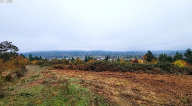Prime 66.82-Acre Development property with Panoramic Valley - photo 5